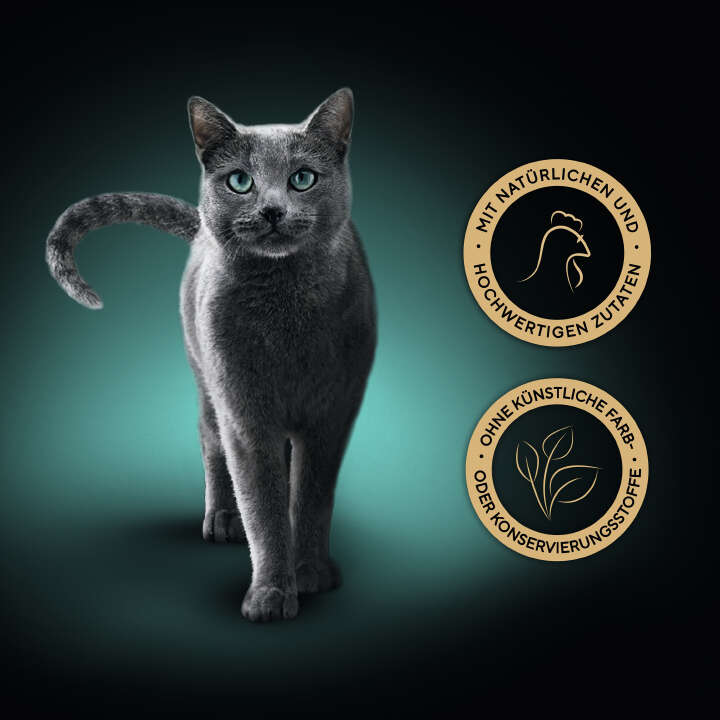 Sheba Katzen-Nassfutter Schale Filets mit natürlichem Huhn